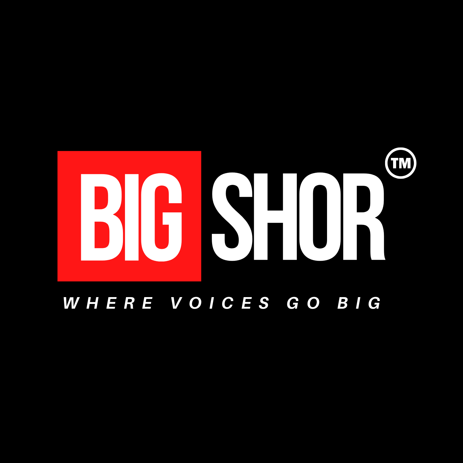 BigShor Logo